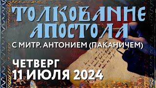 Четверг, 11 июля 2024 года. Толкование Апостола с митр. Антонием (Паканичем).