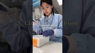 Molecular biology techniques I learned as a research assistant #research #biomedical