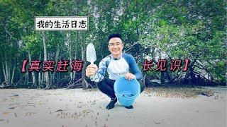 EP.13  普吉岛赶海乐趣    看我都找到些什么海货 seafood on the beach