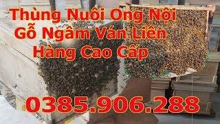 Thùng Nuôi Ong Nội Gỗ Ngâm Ván Một Tấm Shop Tân Ánh Bắc Giang