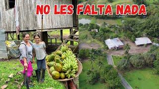 DEJARON la ciudad para producir la TIERRA de su FINCA  Josué y Elie