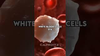 White Blood Cells Vs Virus | #wbc #debate #shorts