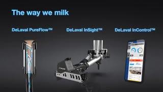 DeLaval VMS™ V300 | Unlock the True Potential of Voluntary Milking | DeLaval