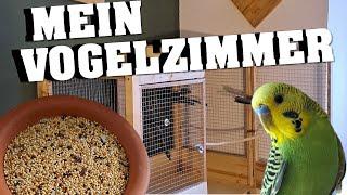 Mein VOGELZIMMER, Käfig, Spielplätze etc