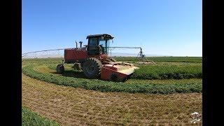 Mowing Crop Circles of Irrigated Alfalfa near Mountain Home Idaho