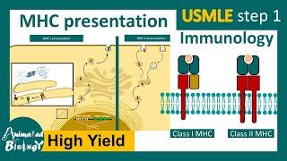 Class I and Class II MHC processing pathway | How MHC I and II are displayed on cell surface?