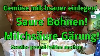 Gemüse milchsauer einlegen, gesund haltbar! Saure Bohnen!!!