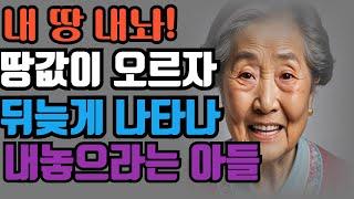 (실화사연) 가난을 욕하며 떠난 아들이 I 땅값 500배 오르자 돌아와 I 땅 내놓으라는 기막히는 사연.