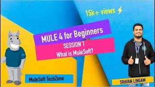 Introduction to MuleSoft || #SfdcPanther #Mulesoft