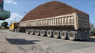 Jamaica East Side Trucker | S2-E9 [4k 60fps #kenworth #peterbilt #truck