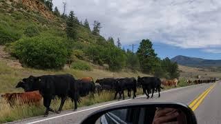 The back roads of Colorado