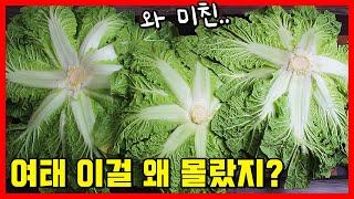 설날 밑반찬으로 만들었더니 손님들이 자꾸 밥을 더달래요 처음보는 밥도둑! 헷~