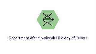 Department of the Molecular Biology of Cancer IEM CAS