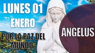 Ángelus de hoy Lunes 01 de Enero 2024/Oración por la Paz