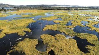 Documental de pesca de Aimaras en Mato Grosso, Amazonia, Brasil. Serra do Cachimbo