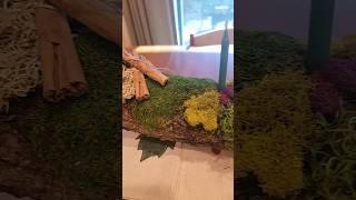 Ready for the winter solstice with this Yule log. ️🪵