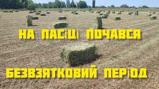 Як уникнути просідання сімей під час безвзятковго періоду?