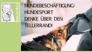 Hundebeschäftigung ️ Hundesport ️ Denke über den Tellerrand! Erklärvideo ️