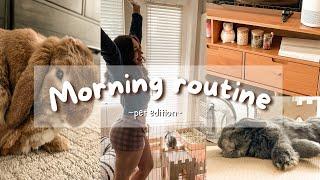 morning routine with two rabbits + a dog ~aesthetic~ (but realistic)