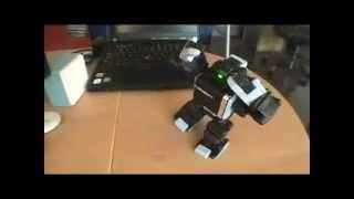 iSOBOT from ThinkGeek