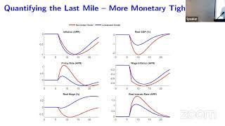 Impulse and Propagation Mechanisms - NBER Summer Institute