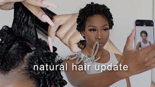 March Natural Hair Update | Natural Hair Journey Big Chop #2