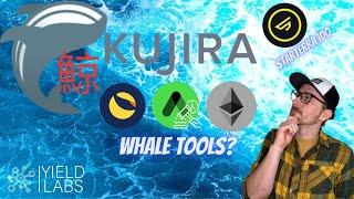 Kujira - Its not always a Whales Game. StarTerra IDO and more!