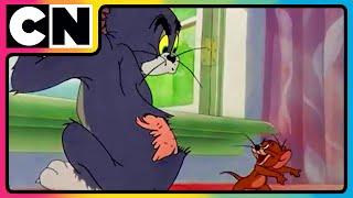 Tom & Jerry  | An Ode to Chaos! | Non-stop Masti | Funny Chases | Only on Cartoon Network