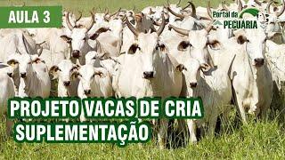 Projeto vacas de cria suplementação  - aula 3