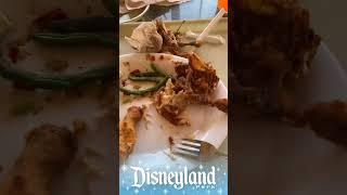 What I found in my fried chicken at Disneyland!