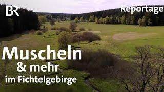 Streifzug im Fichtelgebirge: Perlen und Porzellan | Zwischen Spessart und Karwendel | BR