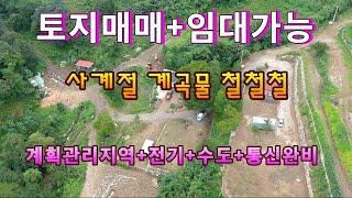 주인직접 매매 010-8808-6686시골땅 쉽게 구할수 있는 찬스 말만 잘하면 공짜로도 시골생활 가능//오지산골 빈집!!