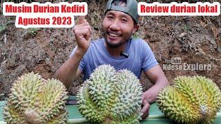 Review durian lokal jatohan perdana