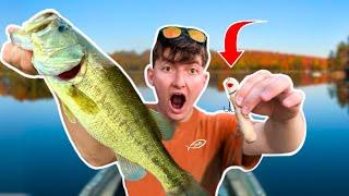 EPIC Homemade Lure Challenge: DIY Topwater Fishing lure