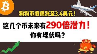 狗狗币将疯涨至3.4美元！这几个币未来有290倍潜力！你有埋伏吗？