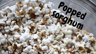 Healthy Whole Grain Snack- Popped Sorghum