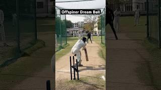 Offspinner Magical Delivery #shorts #youtubeshorts