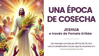 UNA ÉPOCA DE COSECHA | Una canalización de Jeshua a través de Pamela Kribbe