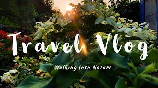 Travel Vlog 2020 // Walking into the nature  // Relaxing Silent Vlog