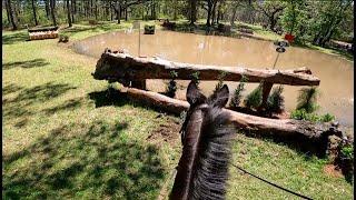 GoPro: Let It Be Lee (CCI 4* - S | 2022 Red Hills International Horse Trials)