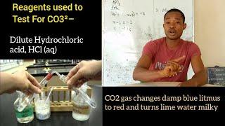 Chemistry Practical (ICH 112): Qualitative/Salt Analysis I– Test Reagents For Anions/Acidic Radicals