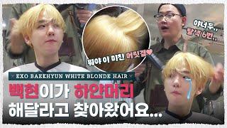 탈색 6번 해도 계속 찰랑거리는데?;; 갱얼쥐야? 백현 백발 #1 [내주제에 Ep.12 l EXO BAEKHYUN White Blonde Hair]