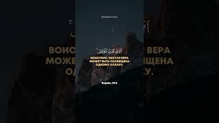 Сура 39. Аз-Зумар (Толпы) аят 3️ Раад Мухаммад Аль-Курди #quran #surahazzumar #islam #коран #shorts