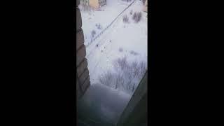 Тест_1
