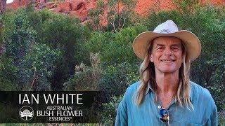 Ian White founder of Australian Bush Flower Essences Story