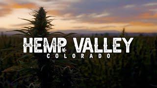 Hemp Valley Colorado | OFFICIAL TRAILER