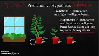 Independent, Dependent, and Controlled Variables