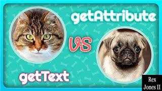  Selenium - getText vs getAttribute: Throwback | (Video 176)