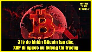 3 lý do khiến Bitcoin lao dốc, XRP đi ngược xu hướng thị trường