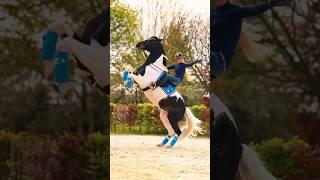 Am i wrong about it? || #edit #horse #shorts
